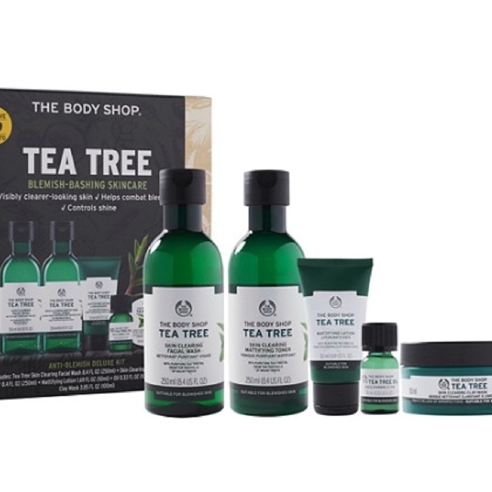 TeaTree Blemish Face Wash Set